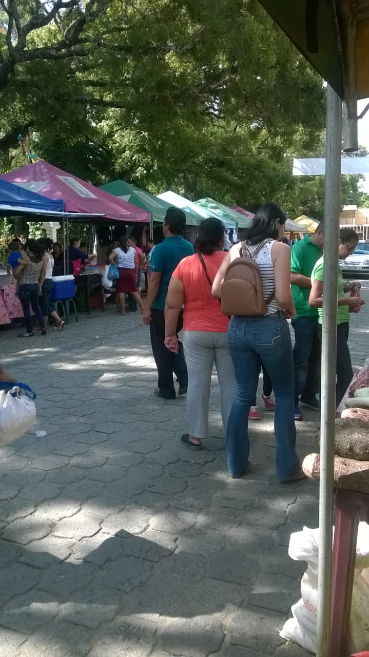feria1